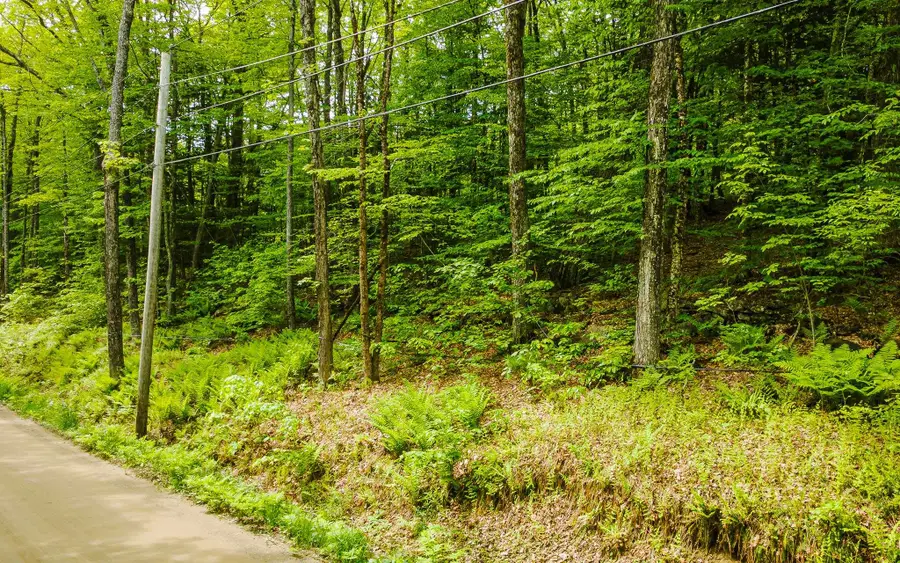 00 Camp Brook Road #Map 30 Lot 67, Alstead, NH 03602 - #2