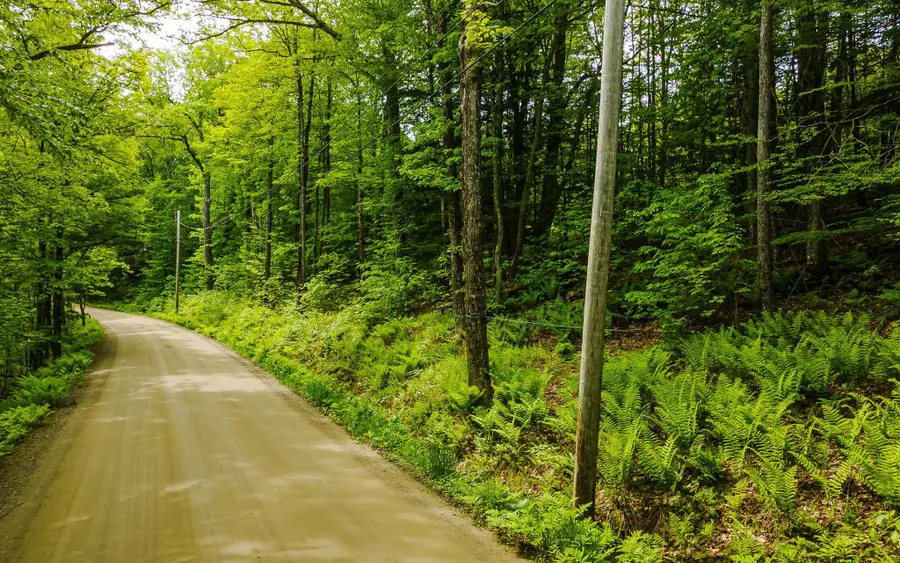Lot 67 Camp Brook Road, Alstead, NH 03602 - #3