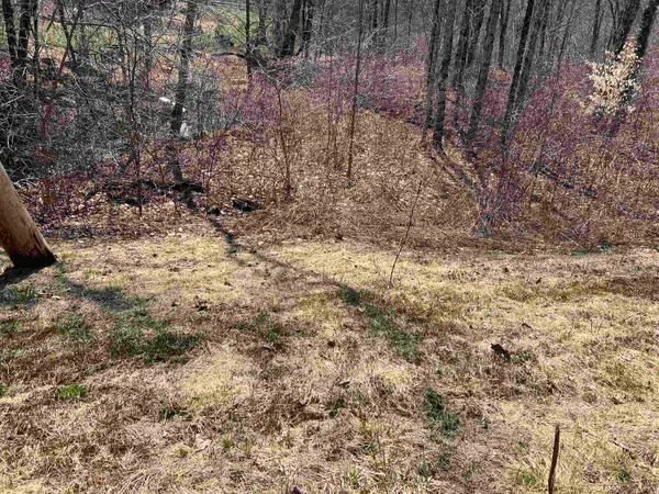 20 Lake Shore Drive, Winchester, NH 03470