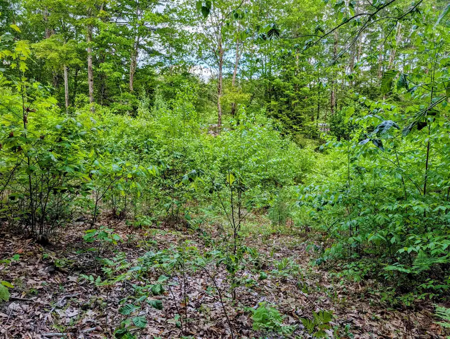 00 Access Road, Wakefield, NH 03887 - #3