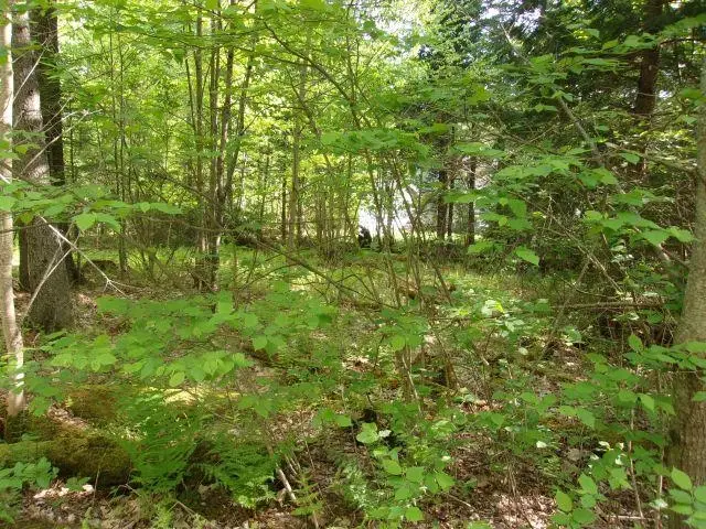 Lincoln Way #89, Mountain Lakes, NH 03785 - #2