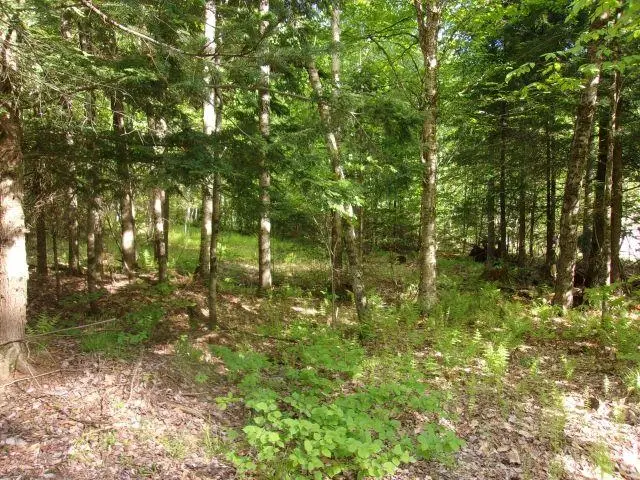 Lincoln Way #89, Mountain Lakes, NH 03785 - #3