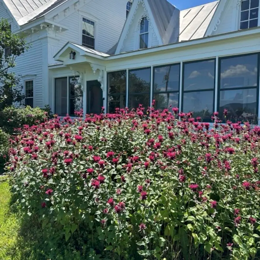 1388 Taylor Farm Road, Marshfield, VT 05668 - #3