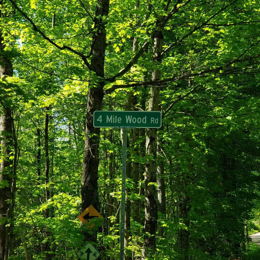 00 Beaver Meadow Road, Roxbury, VT 05669 - #2