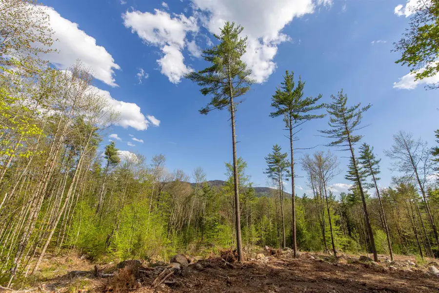 000 Elijah Beede Road, Sandwich, NH 03227 - #3
