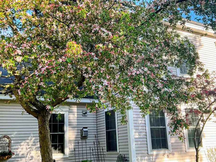 58 Pointe Trinity Drive, Strafford, NH 03884 - #3