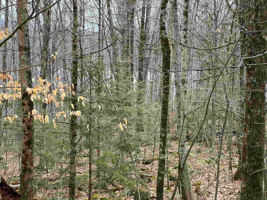 400 Road Round The Lake, Grantham, NH 03753 - #2