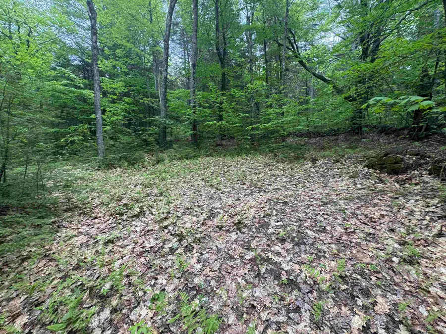 Lot 13 Beach Pond Road, Wolfeboro, NH 03894 - #3