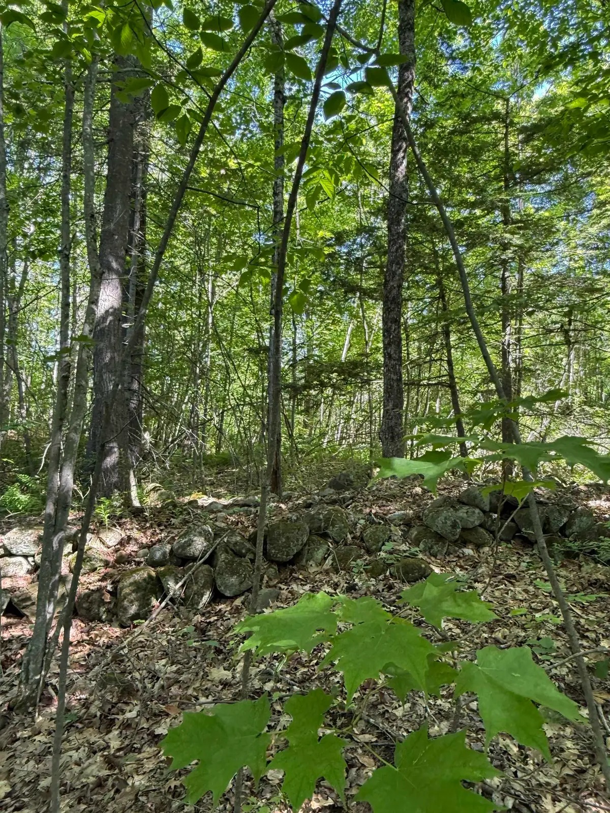 00 Upper Bay Road, Sanbornton, NH 03269 - #1