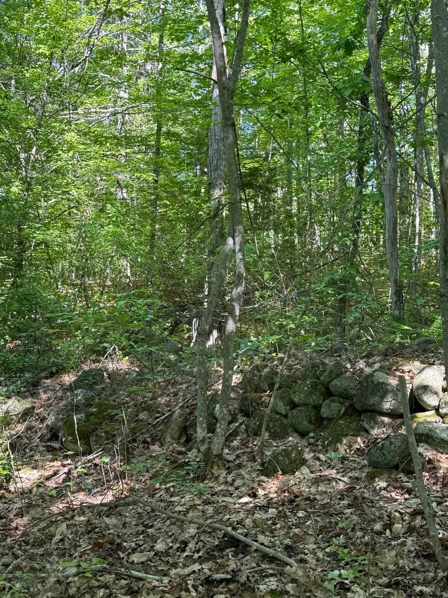 00 Upper Bay Road, Sanbornton, NH 03269 - #3