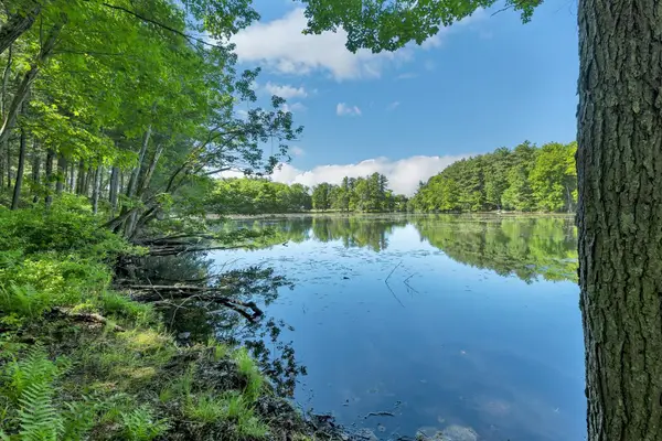40 Norwood Road, Salem, NH 03079