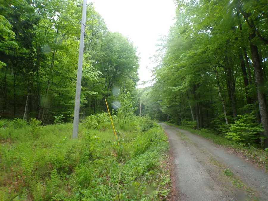 0 Foliage Lane #1, Westmore, VT 05822 - #3