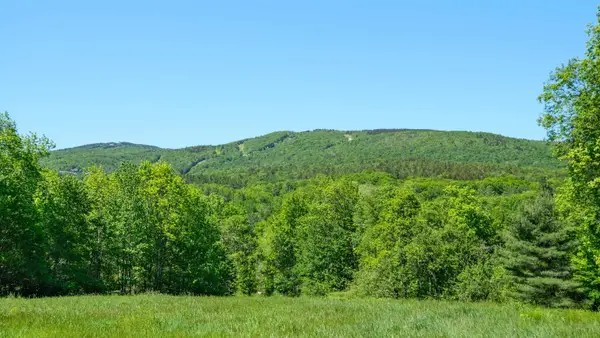 0 Rod and Gun Club Road #8, Ludlow, VT 05149