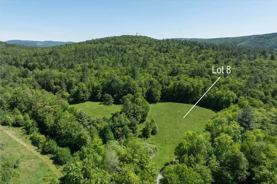 0 Rod and Gun Club Road #8, Ludlow, VT 05149 - #2