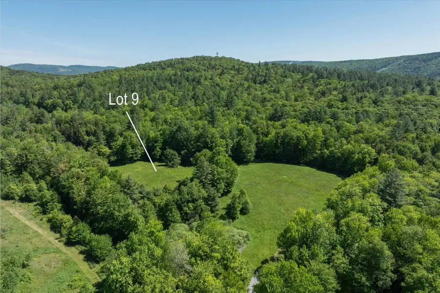 00 Rod and Gun Club Road #9, Ludlow, VT 05149 - #2