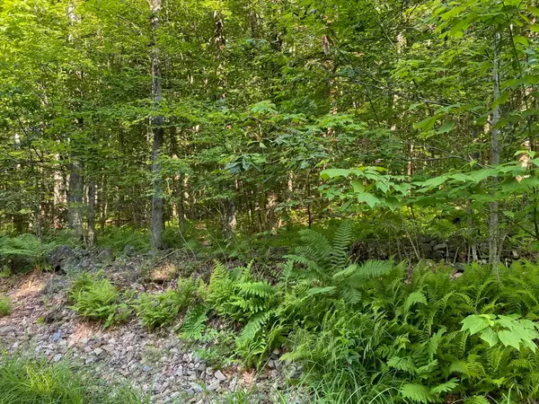 164 Lot 18-3 Mason Road, Milton, NH 03851