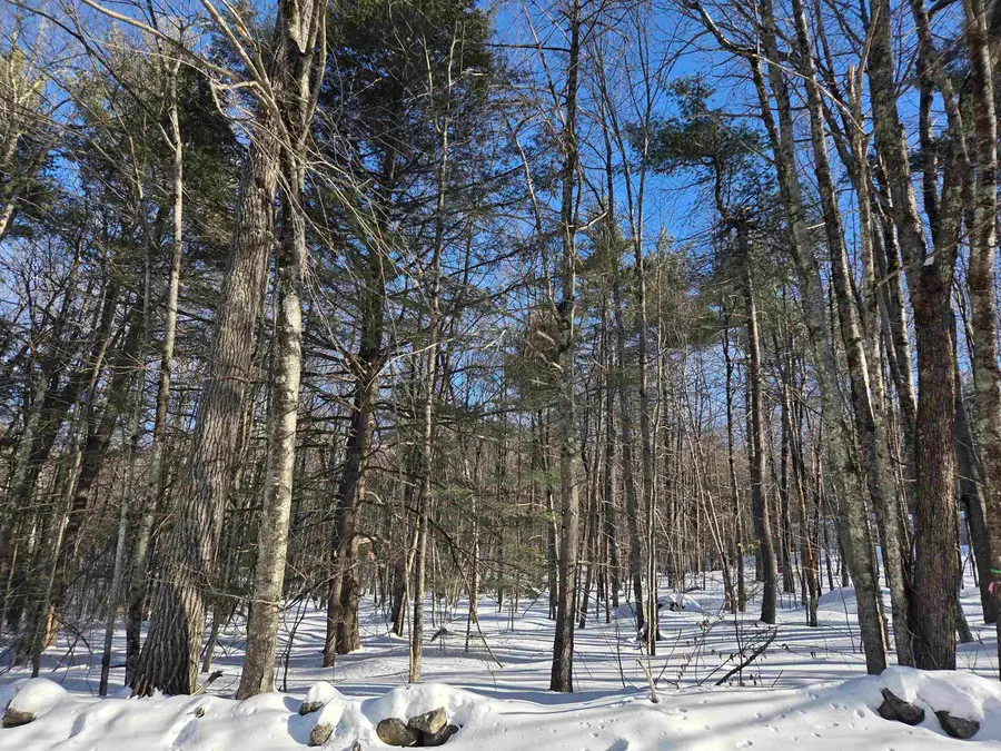 164 Lot 18-2 Mason Road, Milton, NH 03851 - #2