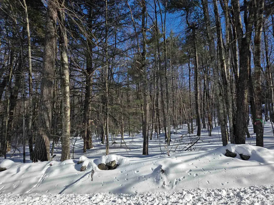 164 Lot 18-2 Mason Road, Milton, NH 03851 - #3