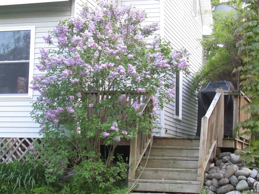 77 Maple Street, Orleans, VT 05860 - #3