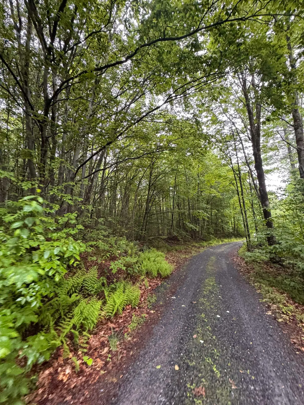 101 Gilsum Road, Sullivan, NH 03445 - #1