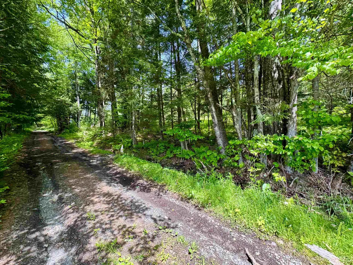 00 Mink Hill Road, Bradford, VT 05033 - #1