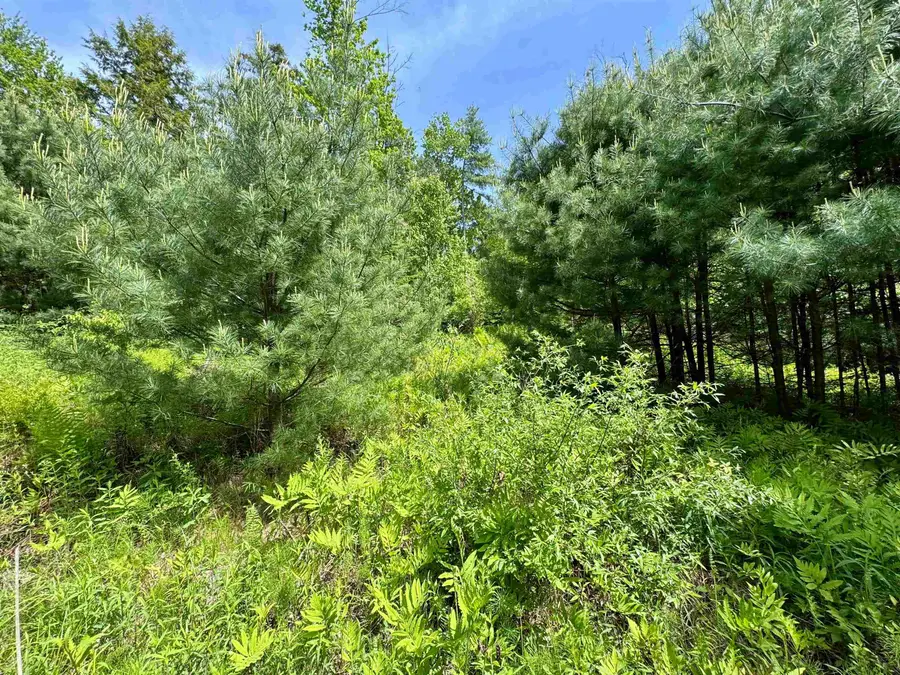 00 Mink Hill Road, Bradford, VT 05033 - #3