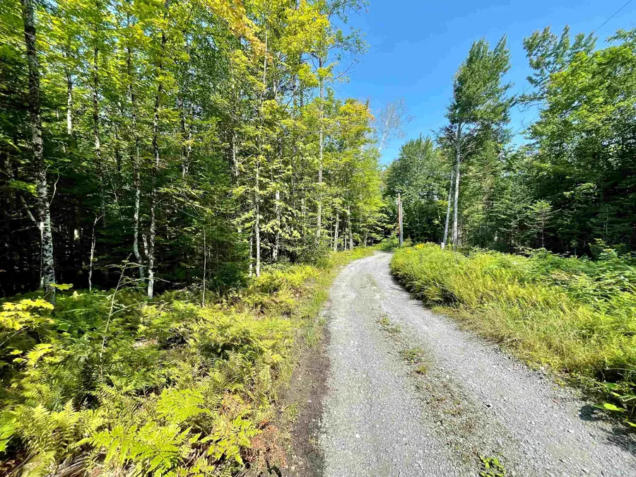 501 Martins Pond Lane, Peacham, VT 05862 - #2