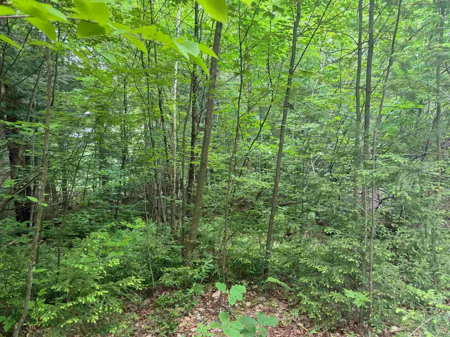 44 Huntington Drive, Hillsborough, NH 03244 - #3
