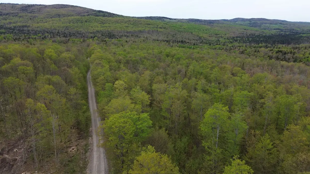 MapB2Lot16 Deadwater Road, Stewartstown, NH 03597 - #1