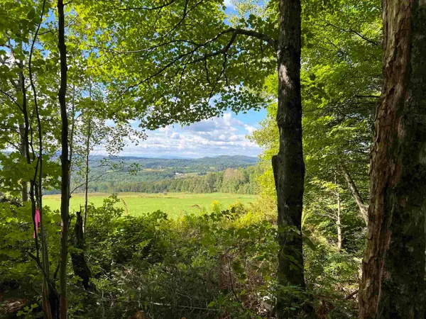 0 Danville Hill Road, Cabot, VT 05647