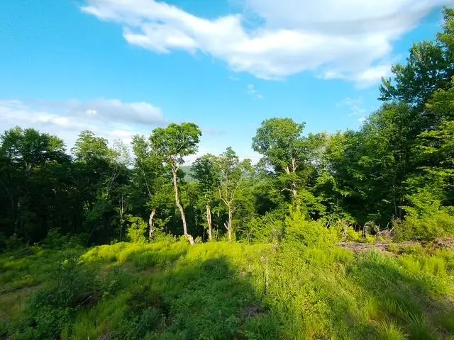 1 DRIFT Lane, Hyde Park, VT 05655 - #2