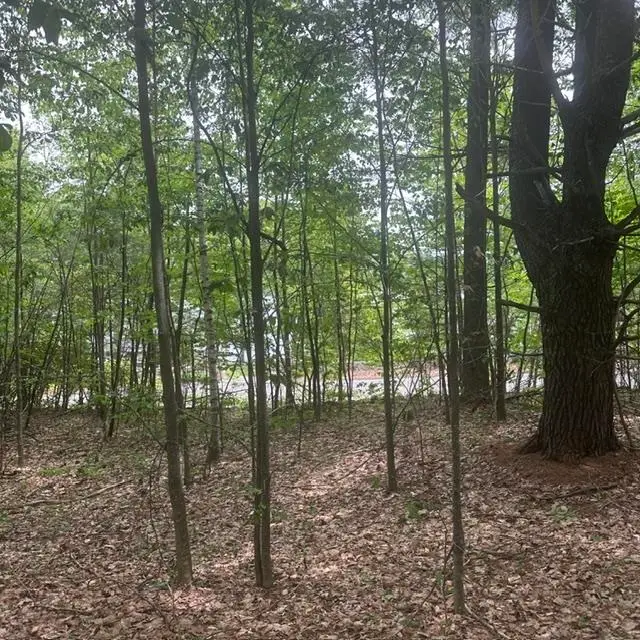 44.1 Lovell Lake Road, Sanbornville, NH 03872 - #1