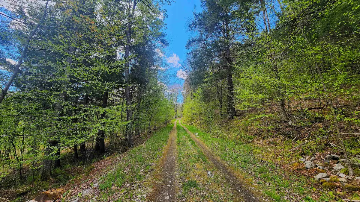 0 Linden Way, Chester, VT 05143 - #1