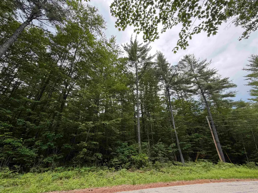 00 Rolling Ridge Road, Bartlett, NH 03812 - #3