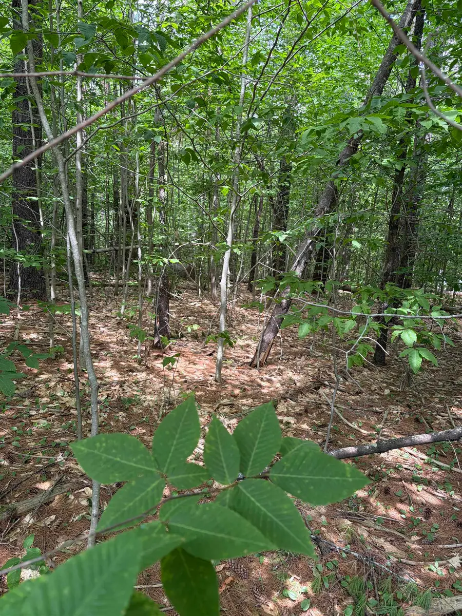 TBD Mt Surprise Road, Bartlett, NH 03812 - #2