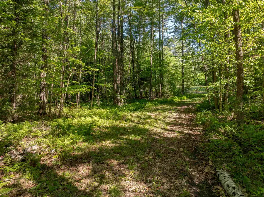 Lot 22 Rabbit Path Road, Landaff, NH 03585 - #3