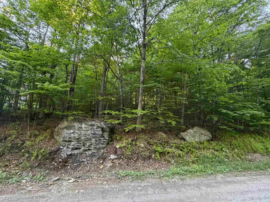 Scattered Timber Road, Wilmington, VT 05363 - #2