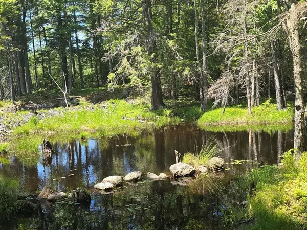 Baine Road #Map 47 Lot 1  & Map 11 Lot 2, Alstead, NH 03602