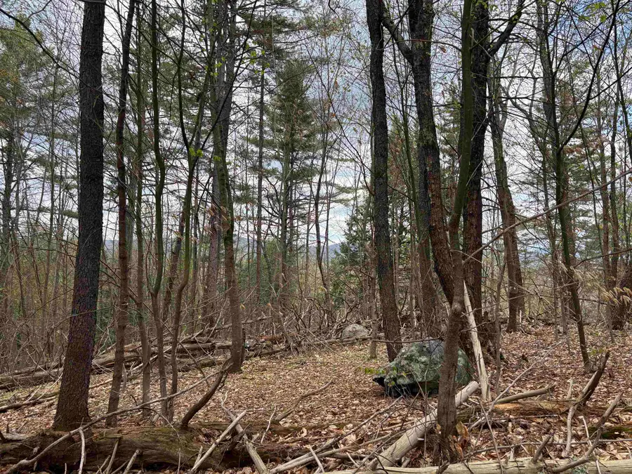 00 Snell Road, Chester, VT 05143 - #3