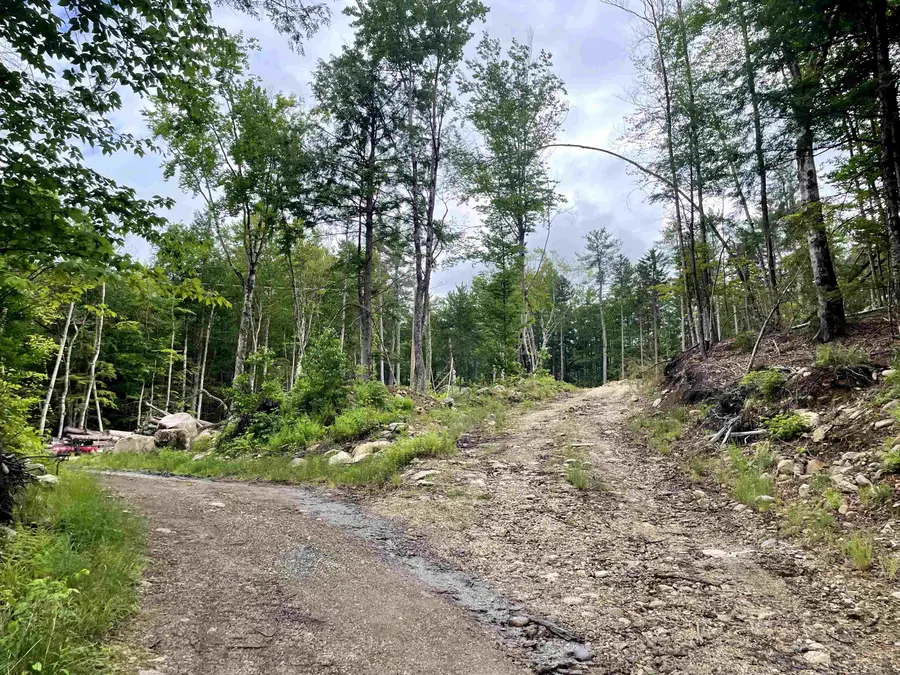 40 Hominy Pot Road, Sutton, NH 03221 - #3