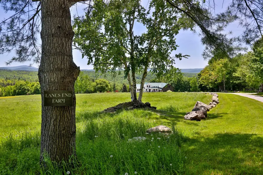 514 Robinson Road, Shrewsbury, VT 05738 - #3