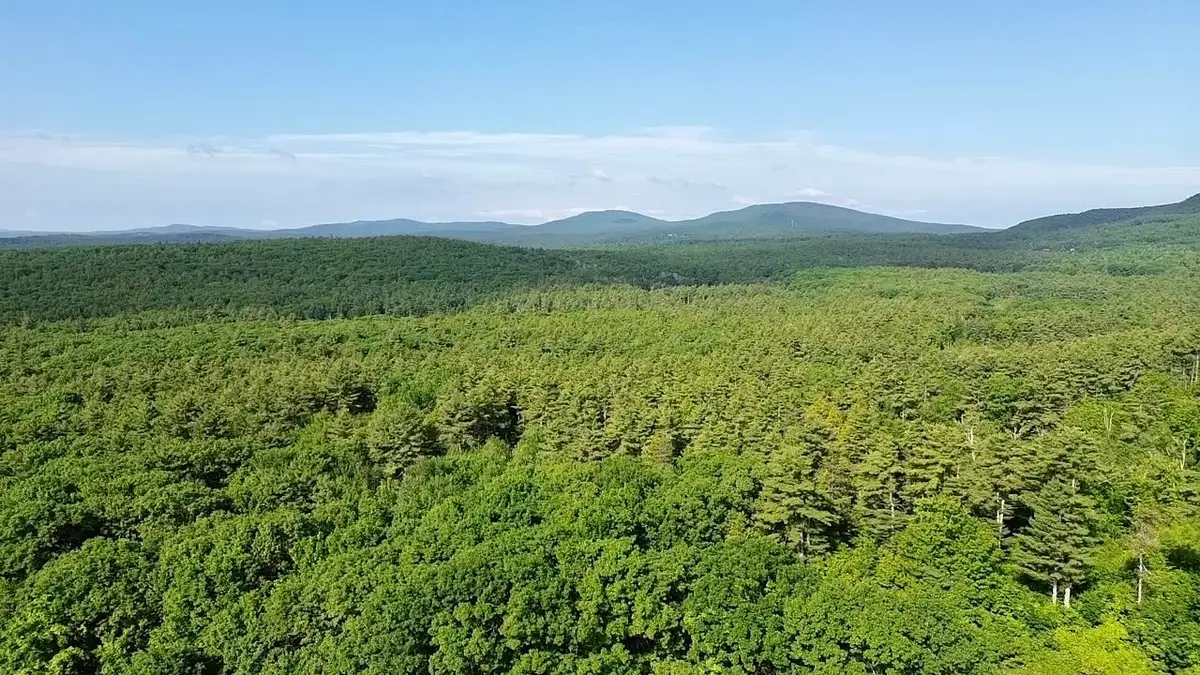 000 Center Road, Lyndeborough, NH 03082 - #1