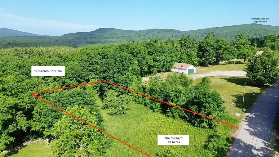 00 Center Road, Lyndeborough, NH 03082 - #3