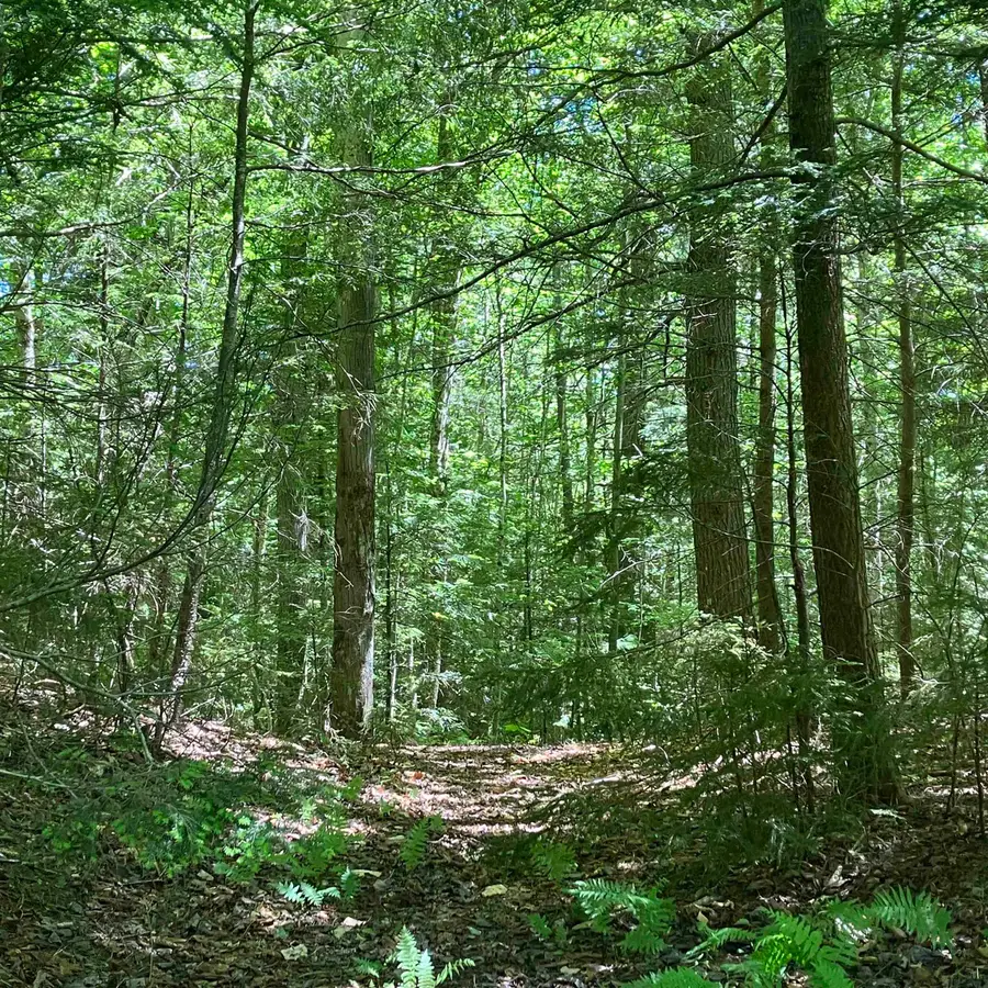 40 Arctic Circle #M073, Wilmington, VT 05363 - #3