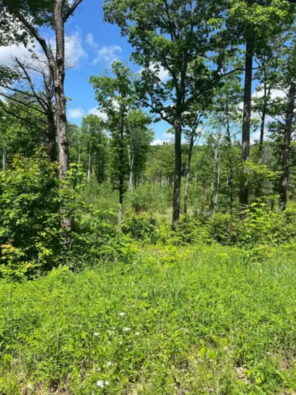 00 Corno Road and Canaan Street #All 8 Lots, Canaan, NH 03741