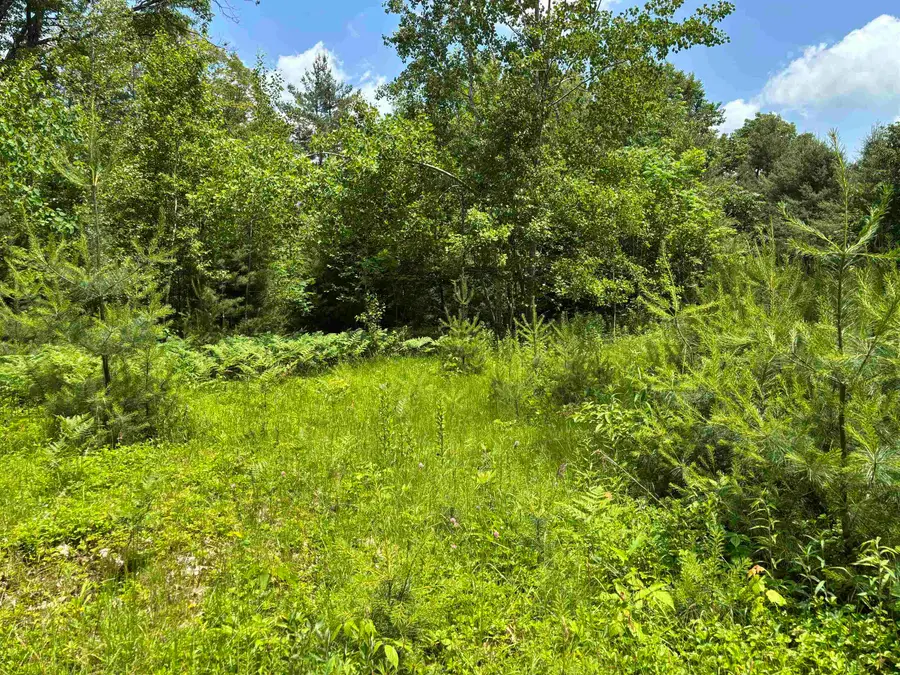 00 Simonsville Road, Andover, VT 05143 - #2