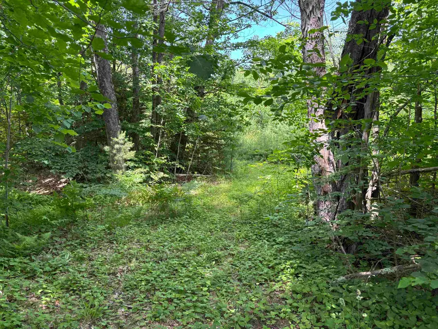 00 Simonsville Road, Andover, VT 05143 - #3
