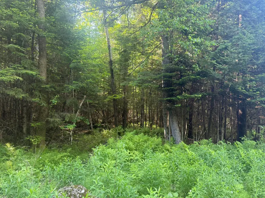 0 Roaring Brook Road, Barton, VT 05822 - #2