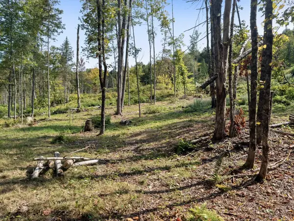 219 Weber Brook Lane, Craftsbury, VT 05826