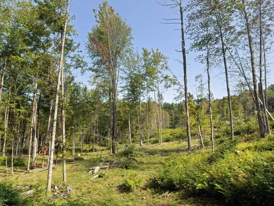 219 Weber Brook Lane, Craftsbury, VT 05826 - #2